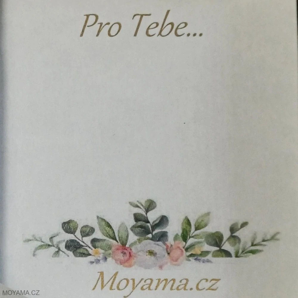 Pro tebe