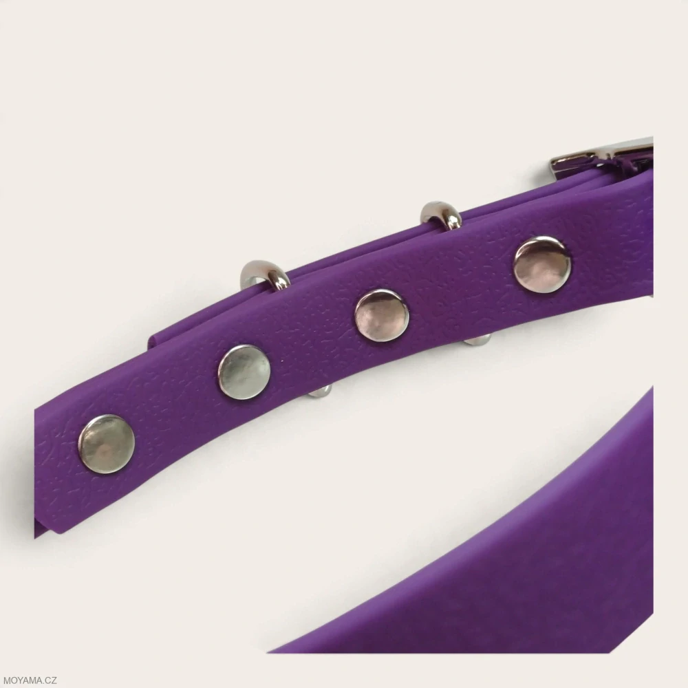Obojek S – Deniz Violet