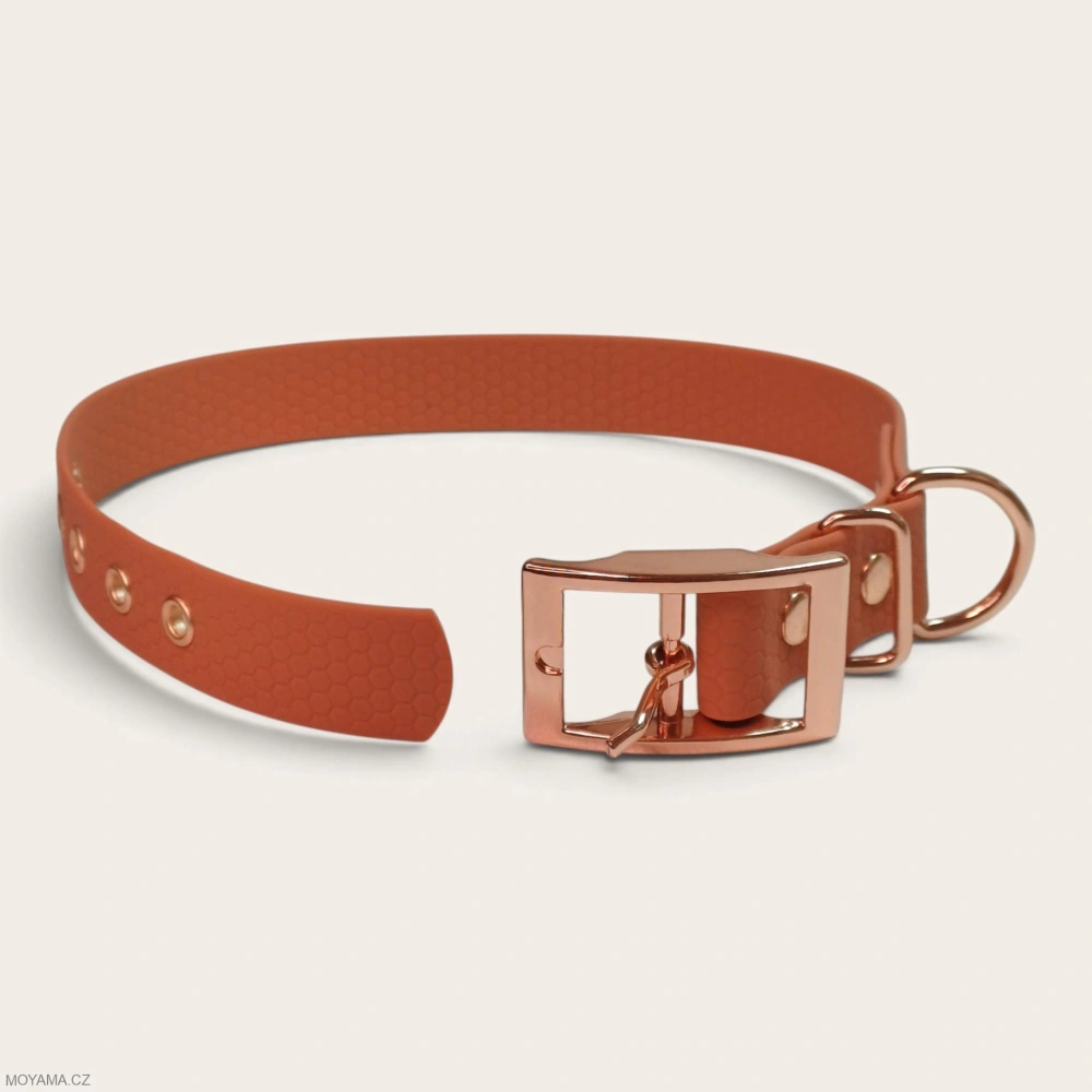 Obojek L – Charlie cinnamon hexa