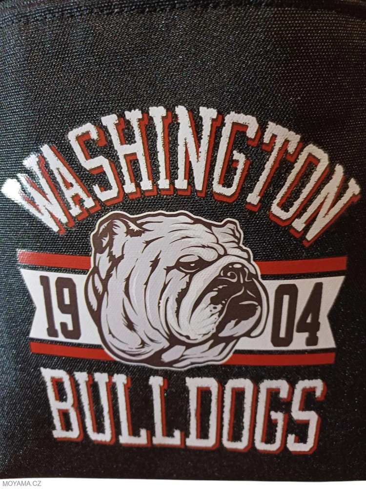 Batoh vak - washington - Bagy