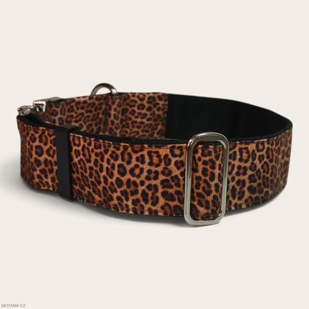 Obojek XXL - leopard