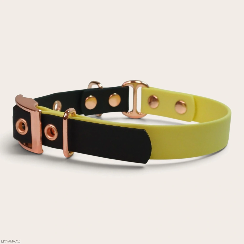 Obojek M – Charlie DUO black-yellow