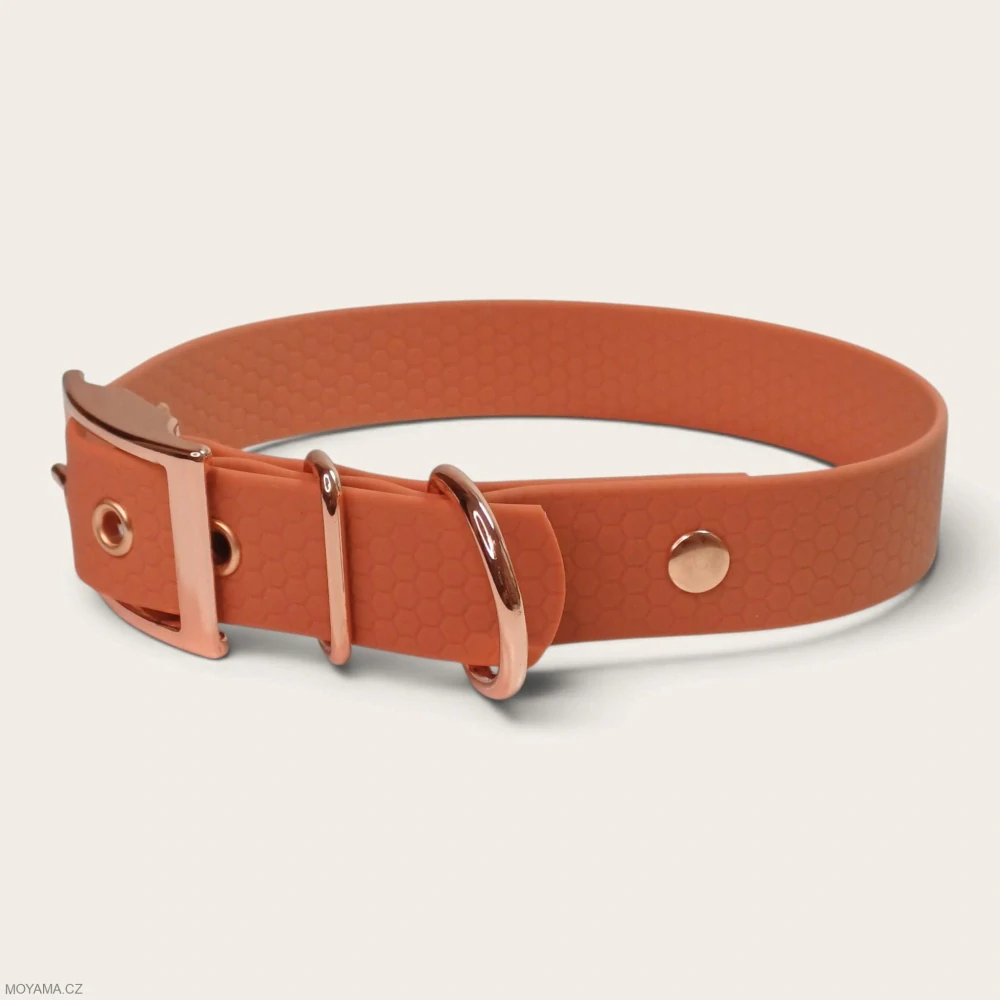 Obojek L – Charlie cinnamon hexa