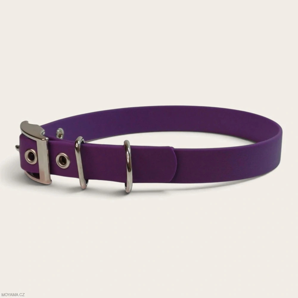 Obojek L – Charlie violet