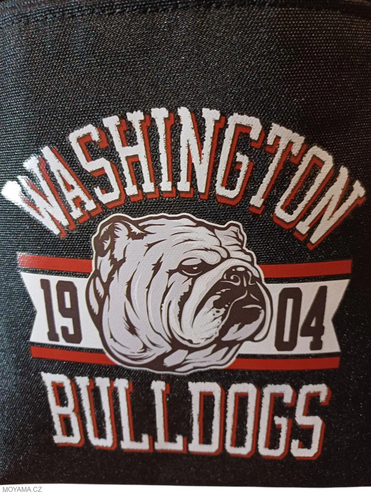 Batoh vak - washington - Bagy