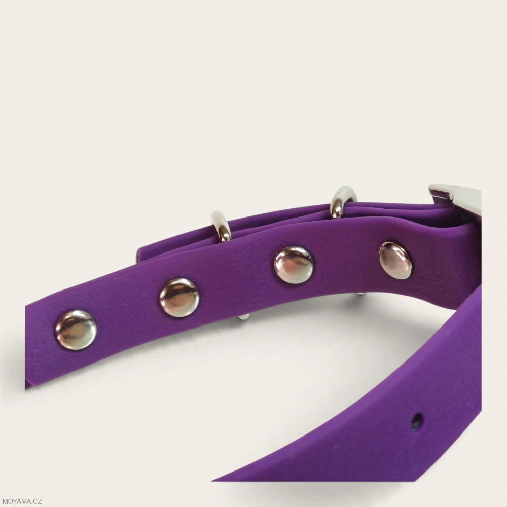 Obojek XS – Deniz Violet