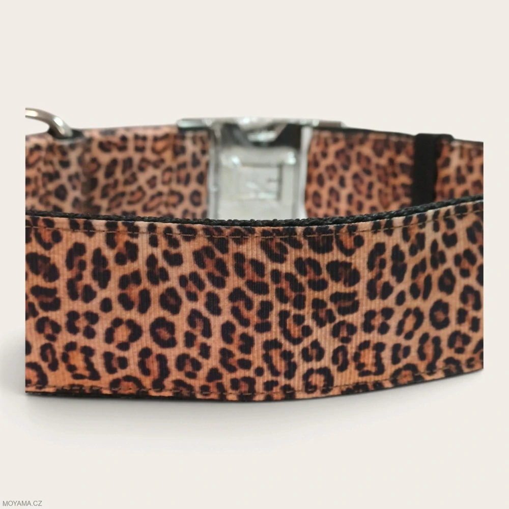 Obojek XXL - leopard