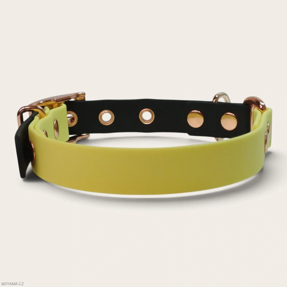 Obojek M – Charlie DUO black-yellow