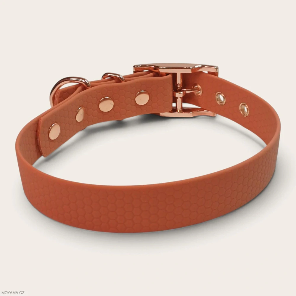 Obojek L – Charlie cinnamon hexa