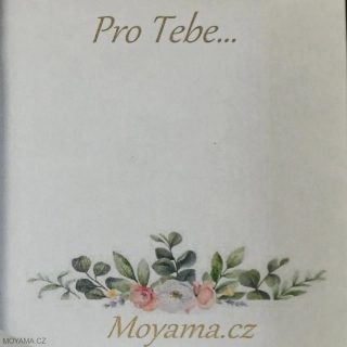 Pro tebe