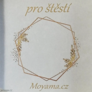 Štěstí